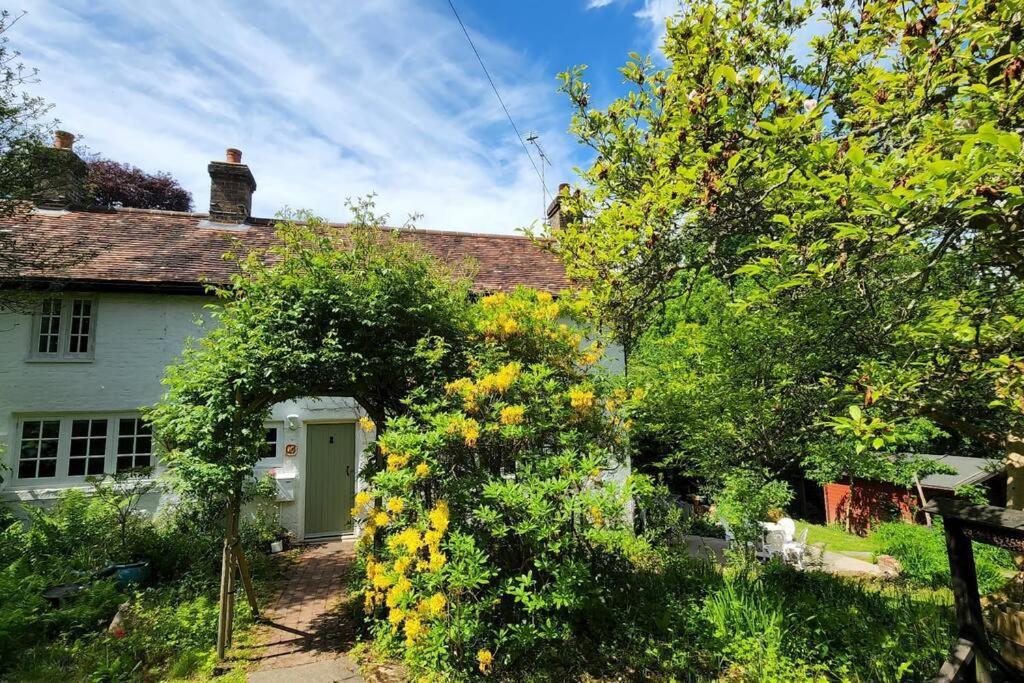 Ashdown Forest Character Cottage, 18Th Century โครวบะระ ภายนอก รูปภาพ
